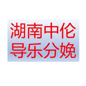 湖南中伦精密科技有限公司