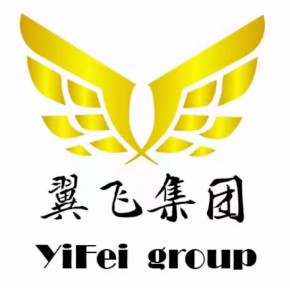 山东翼飞电子商务集团有限公司