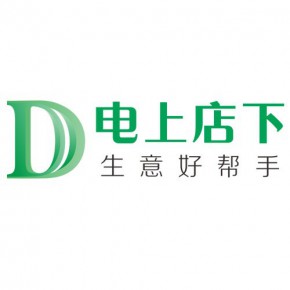 广东电上店下网络技术有限公司