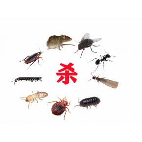 成都绿卫有害生物防治有限公司