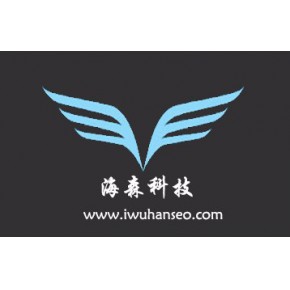 武汉海森科技有限公司