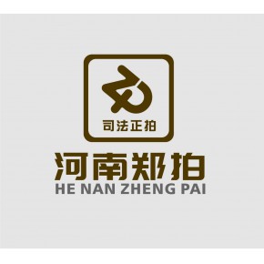 河南郑拍房地产营销策划有限公司