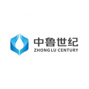 中鲁世纪信息科技有限公司