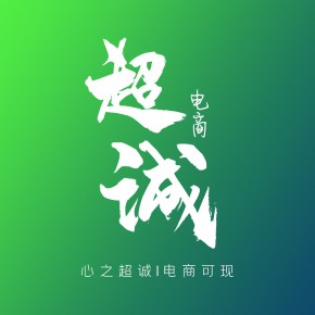 河南超诚网络技术有限公司