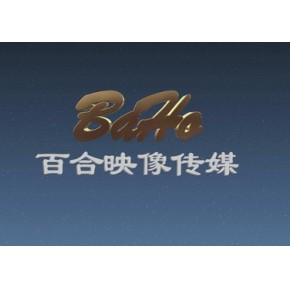 深圳市百合映像传媒有限公司