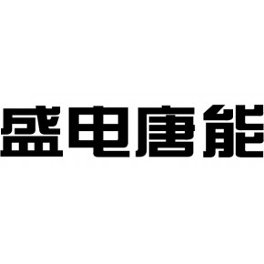 山东盛唐电气有限公司