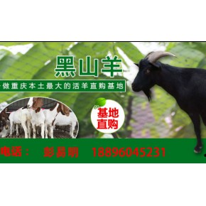 重庆市林增加羊养殖基地有限公司
