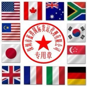 深圳市蓝洋国际货运代理有限公司