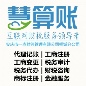 桐城慧算账财务管理有限公司