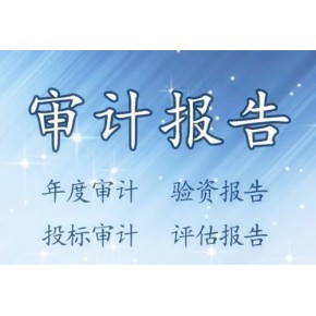 亚太（集团）会计师事务所（特殊普通合伙）南阳分所