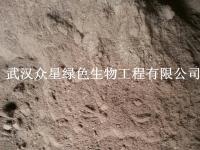 武汉众星绿色生物工程有限公司