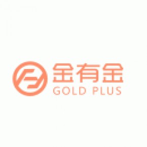 浙江黄金宝投资股份有限公司