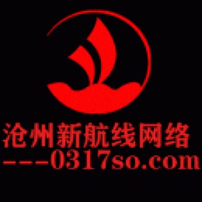 沧州新航线网络技术有限公司