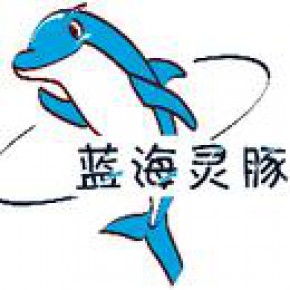 沈阳蓝海灵豚软件技术有限公司