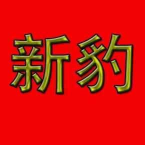 深圳新豹喜贸易有限公司