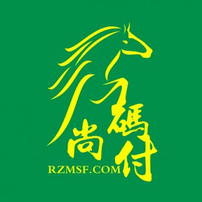 深圳市码尚付电子科技有限公司